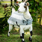 Horseware - Newmarket Witney Charcoal Goat Fleece Rug | - Ohlala