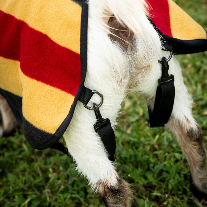 Horseware - Newmarket Witney gold goat fleece rug | - Ohlala