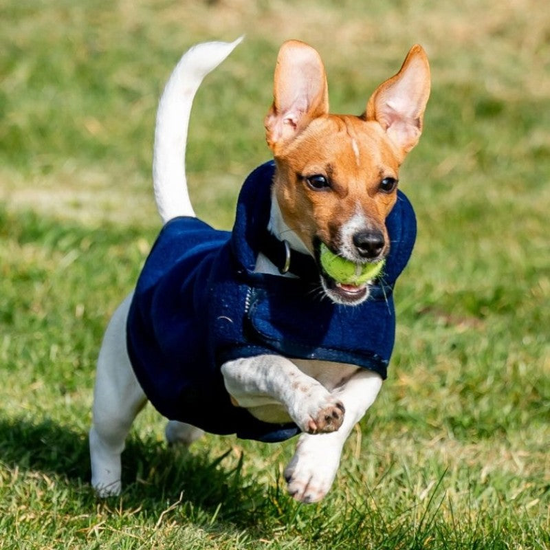 Horseware - Couverture polaire pour chiens Signature marine | - Ohlala