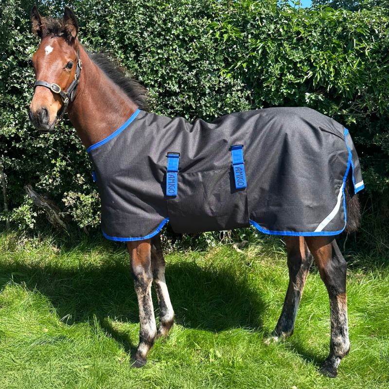Horseware - Derka zewnętrzna Amigo Ripstop Foal Turnout czarny/ classic blue 200g