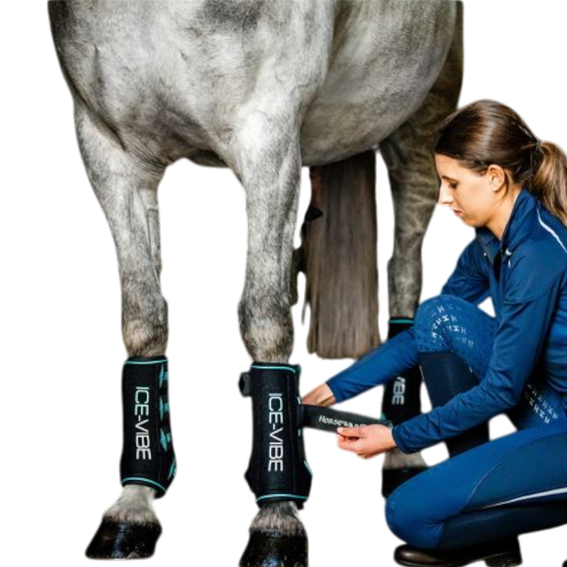Horseware - Guêtres refroidissantes Ice Vibe Génération 2