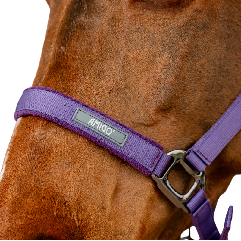 Horseware - Bridle and lead Amigo winterberry 