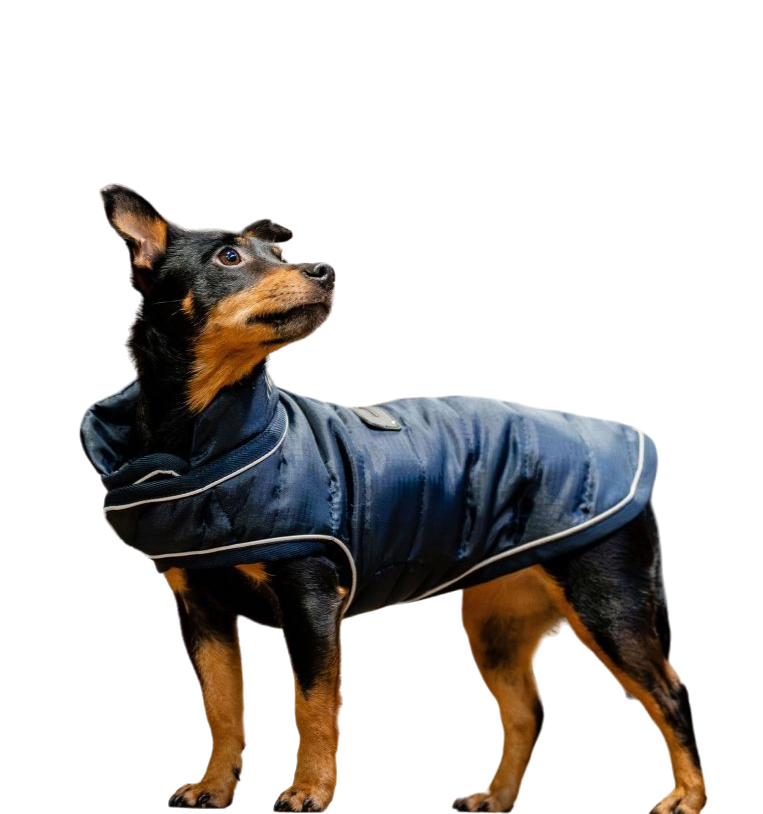 Horseware - Manteau pour chiens Signature marine 200g | - Ohlala