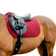 Horseware - Tapis de selle Amigo GP mulberry | - Ohlala