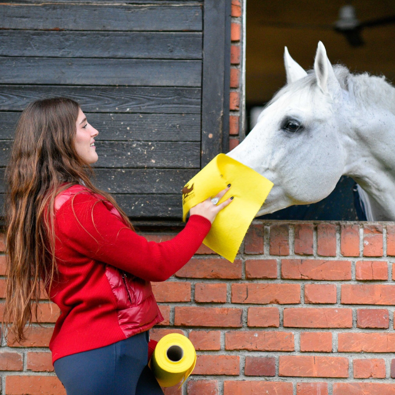 Horsewipe - Gelbe Reinigungstücher-Rolle