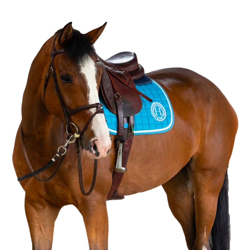 Harcour - Tapis de selle Siriel baby blue | - Ohlala