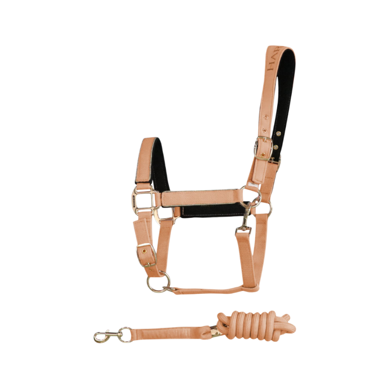 Harcour - Hansy apricot halter and lead rope 