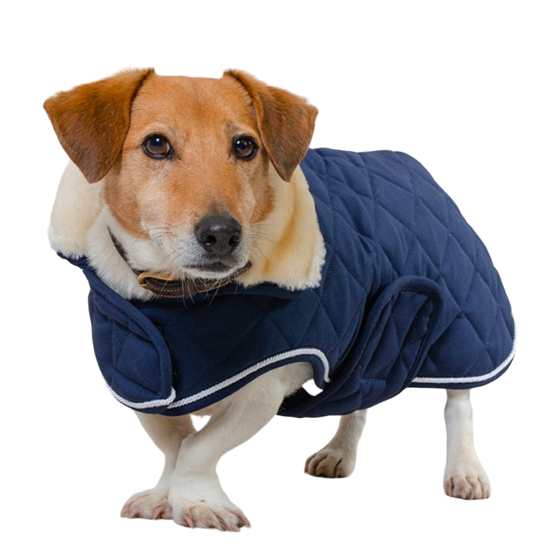 Harcour - Couverture pour chien Rocket marine 0g