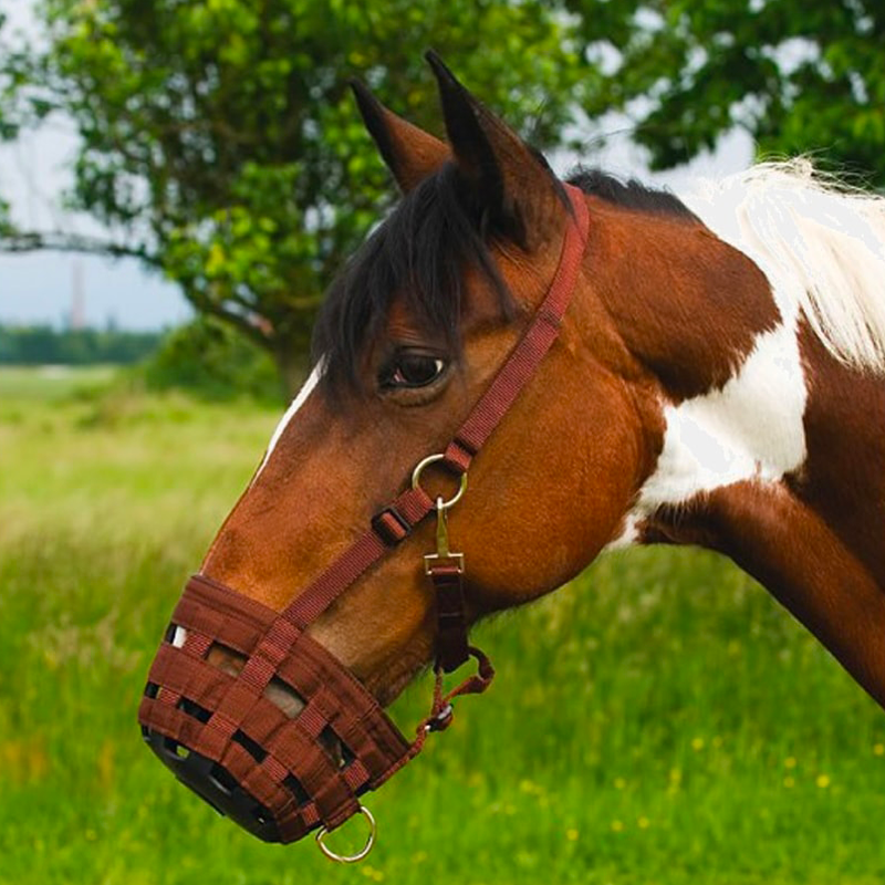 Hippotonic - Nylon muzzle basket