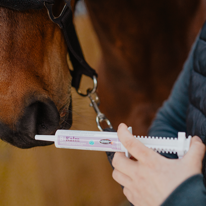 Horse Master - Complément alimentaire seringue concentré de L-Trytophane B-Kalm | - Ohlala