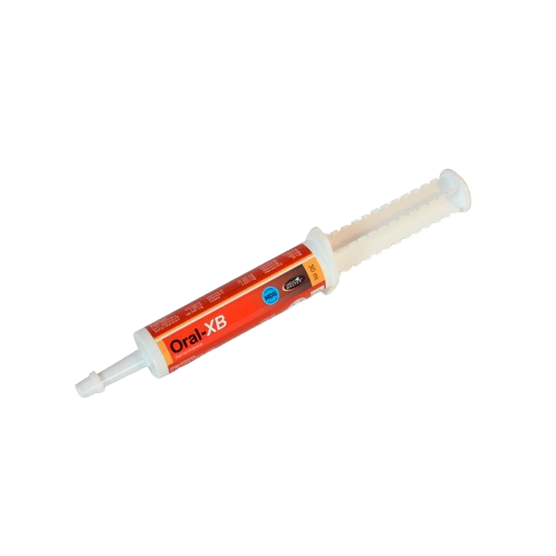 Horse Master - Oral XB vitamin B booster syringe food supplement
