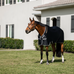 Horseware - Rambo Airmax Cooler Wicking Sheet Black / Thunderstorm Grey / Silver | - Ohlala