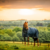 Horseware - Derka zewnętrzna Amigo Ripstop Plus Turnout witney navy 100g | - Ohlala
