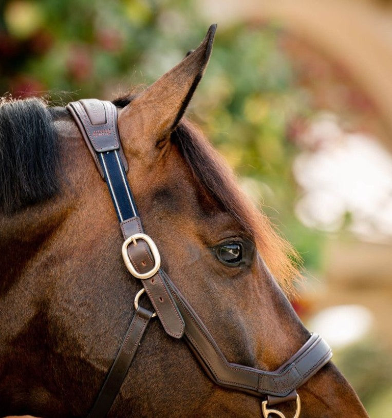 Horseware - Rambo Micklem Havana Leather Halter