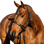 Horseware - Cabezada y ramal Amigo negro | - Ohlala