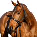 Horseware - Capezza e longhina Amigo nera | - Ohlala