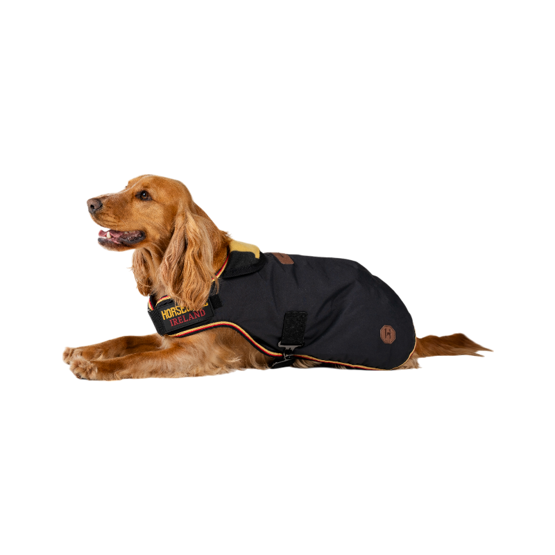 Horseware - Manteau pour chien Newmarket witney gold