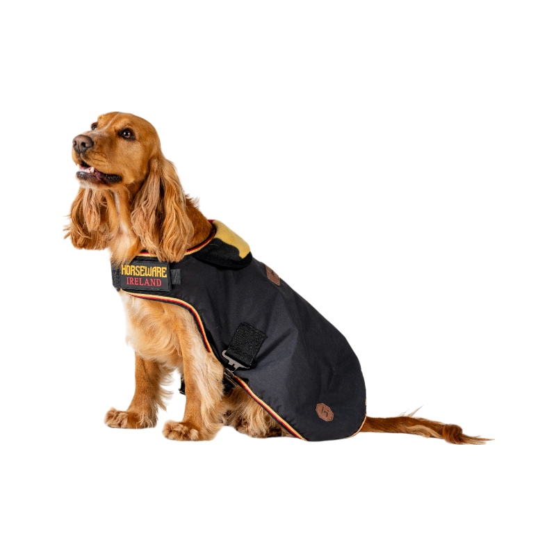 Horseware - Manteau pour chien Newmarket witney gold