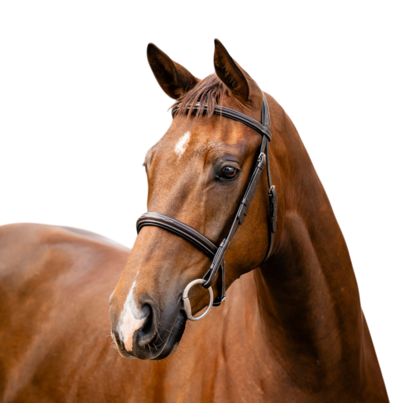 Horseware - Bridon Hunter marron | - Ohlala