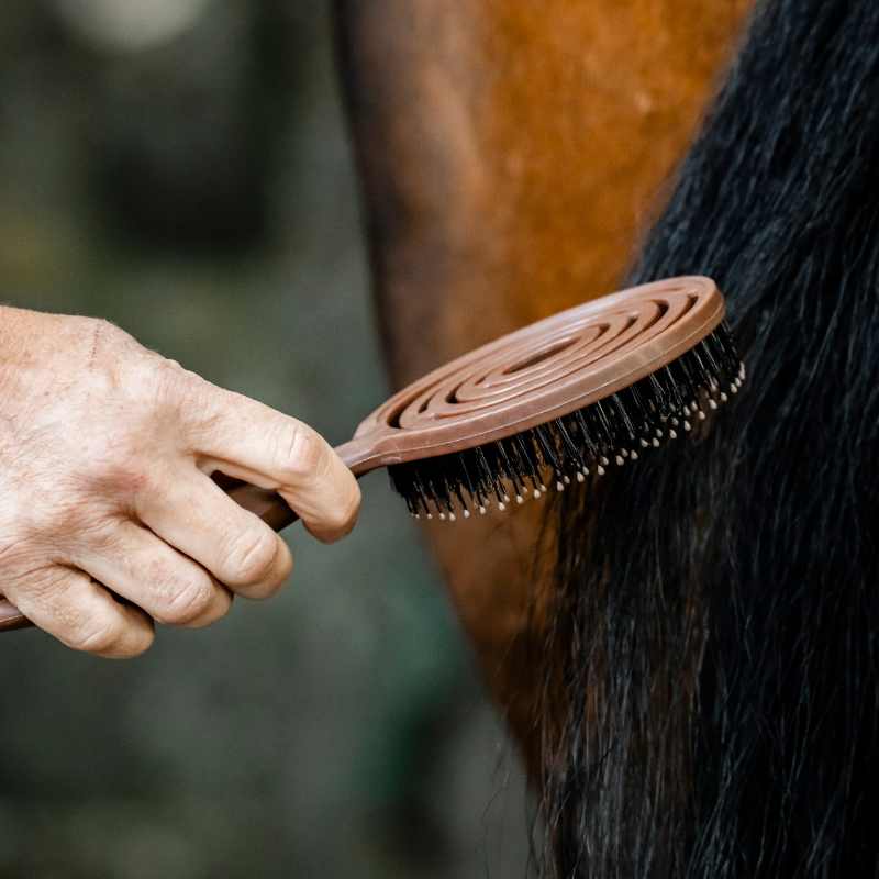 Horseware - Mane Wood Effect Mane & Tail Brush | - Ohlala