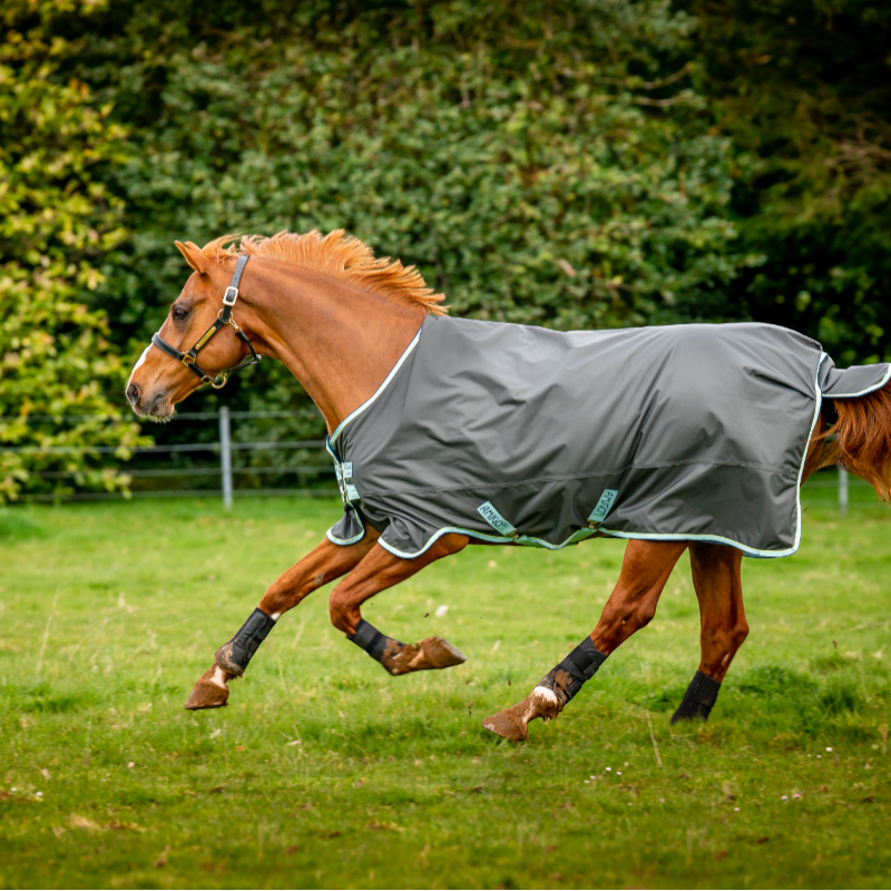 Horseware - Couverture d'extérieur Amigo Hero Ripstop Plus shadow/ blue haze/ marine 200g