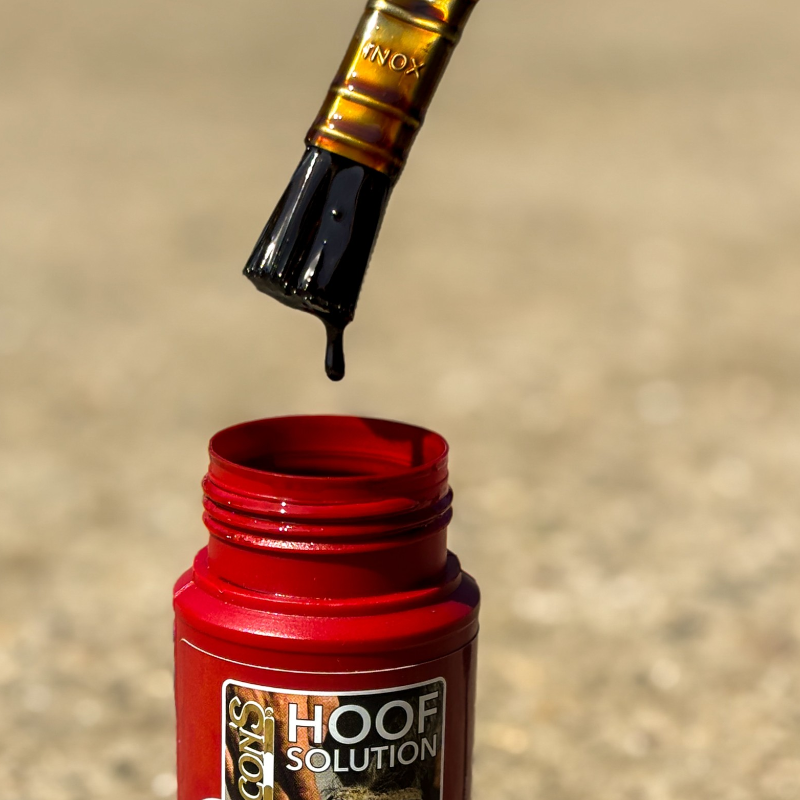 Kevin Bacon's - Hoof Solution Rotted Frog Repair