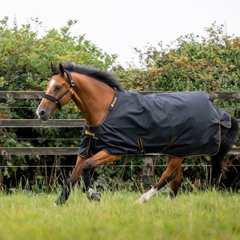 Bucas - Irish Turnout Outdoor Rug Big Neck 50 Black/ Gold 50g