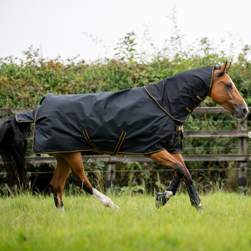 Bucas - Coperta da esterno Irish Turnout 300 nero/ gold coprispalla amovibile 300g
