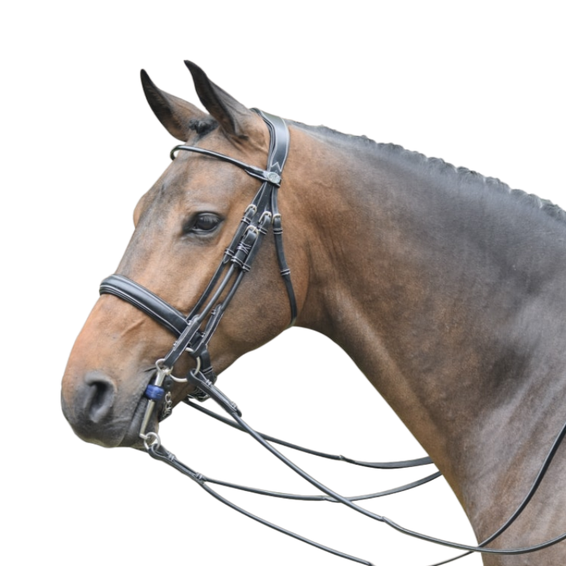 Jump'In - Varnished bridle with reins 