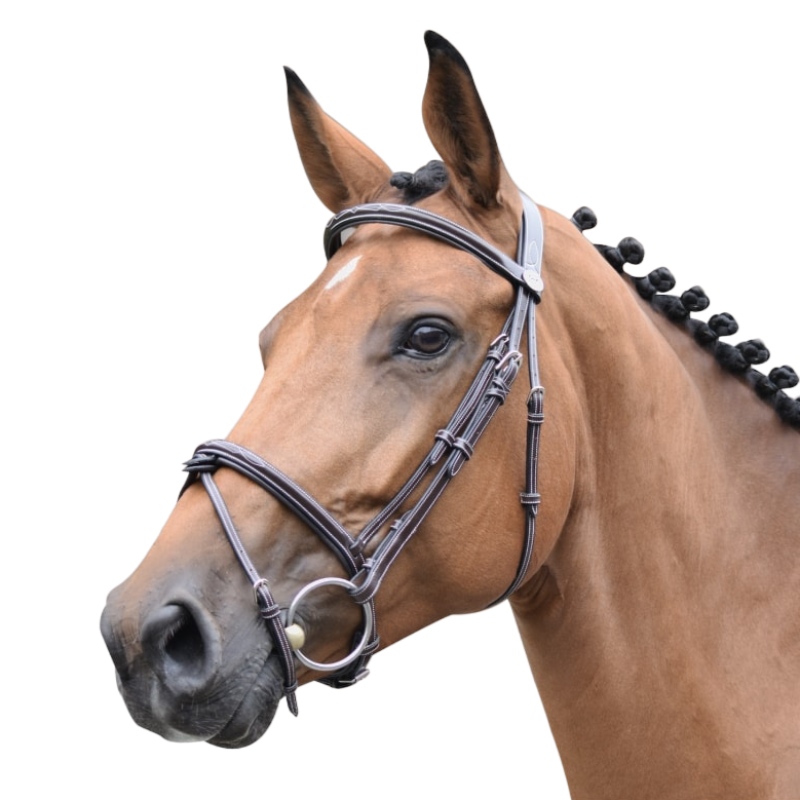 Jump'In - Bridle Week Thursday noseband combined with reins