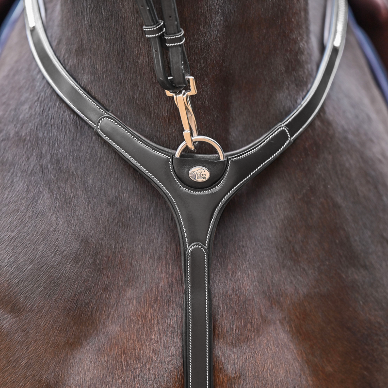 Jump'In - Collier de chasse et fourche de martingale Premium Clincher noir