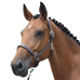 Jump'In - Fancy One Hazelnut Halter | - Ohlala