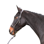 Jump'In - Licol en cuir One Premium Clincher havane | - Ohlala