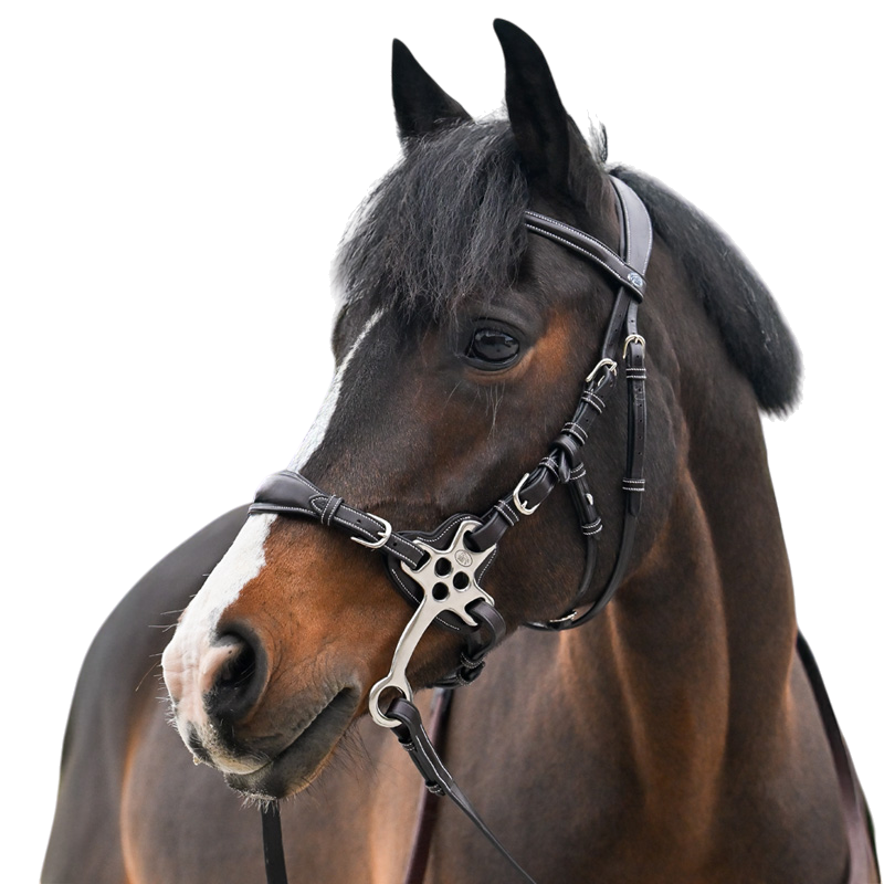 Jump'In - Bridon One Premium Hackamore brown 