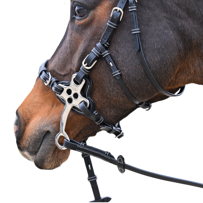Jump'In - Bridon One Premium Hackamore brown 