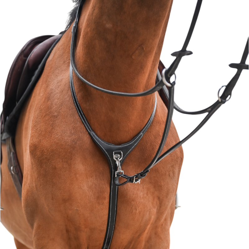 Jump'In - One Premium Havana collar and martingale 