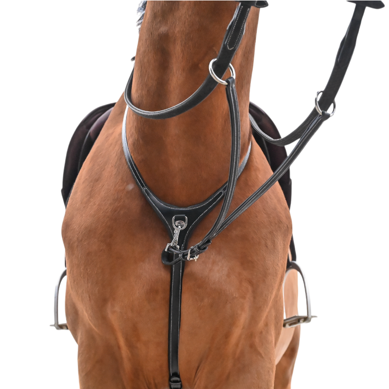Jump'In - One Premium Havana collar and martingale 