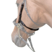 Jump'In - Seitenteile und Riemen für Hackamore Kollektion Week havane | - Ohlala