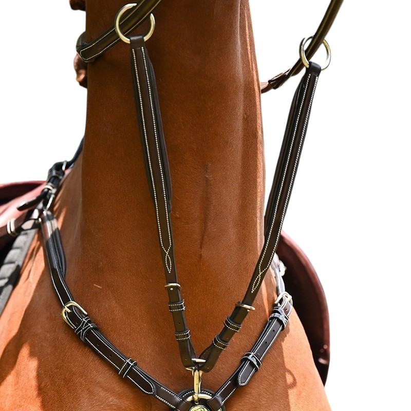 Jump'In - Martingale de collier Wednesday havane