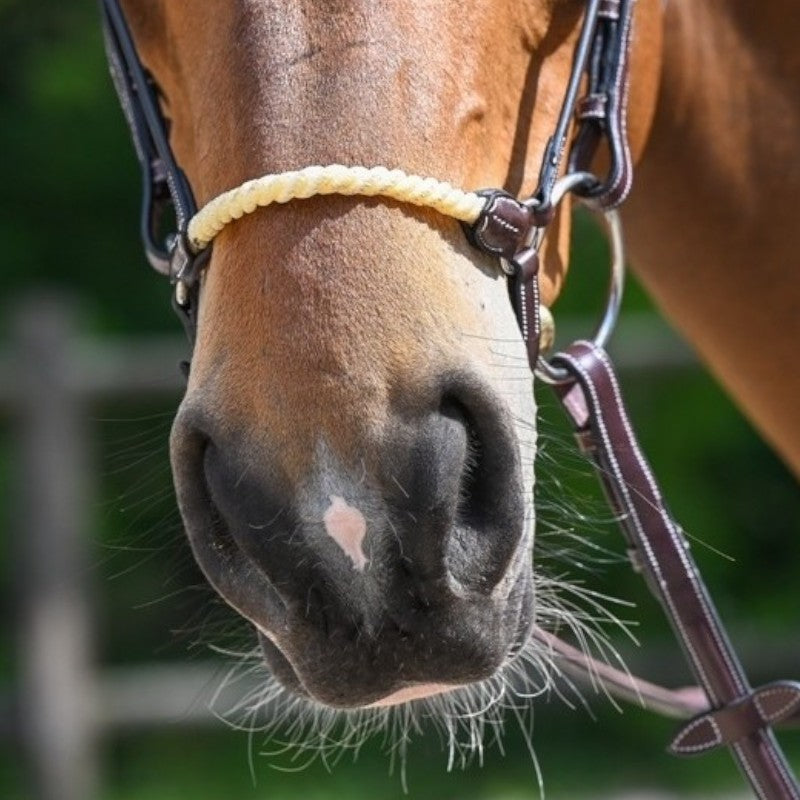 Jump'In - German havana rope noseband