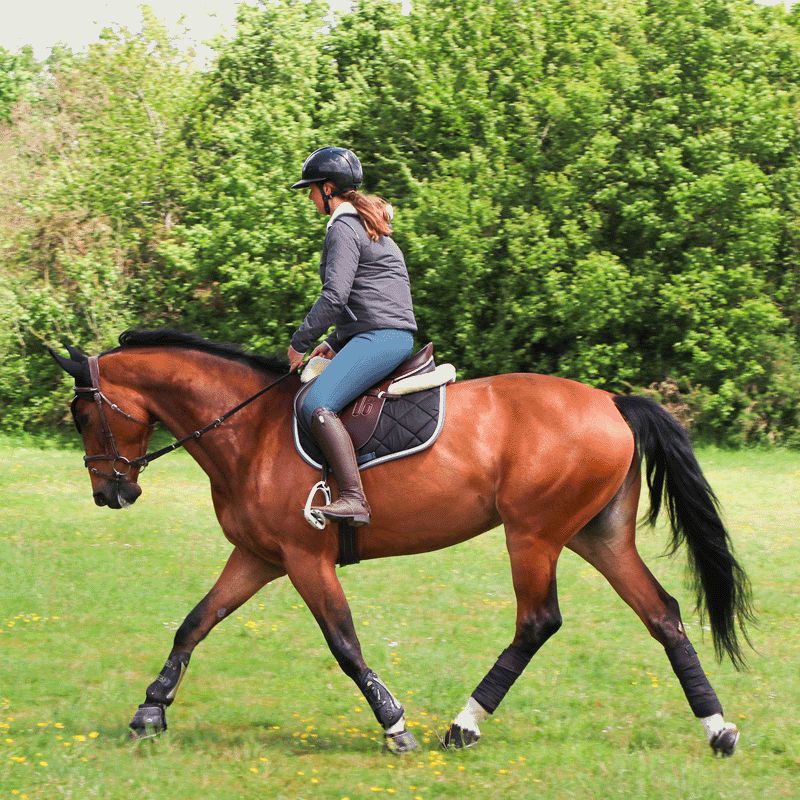 Jump'In - Pantalon d'équitation femme Super X Bleu Lagon | - Ohlala