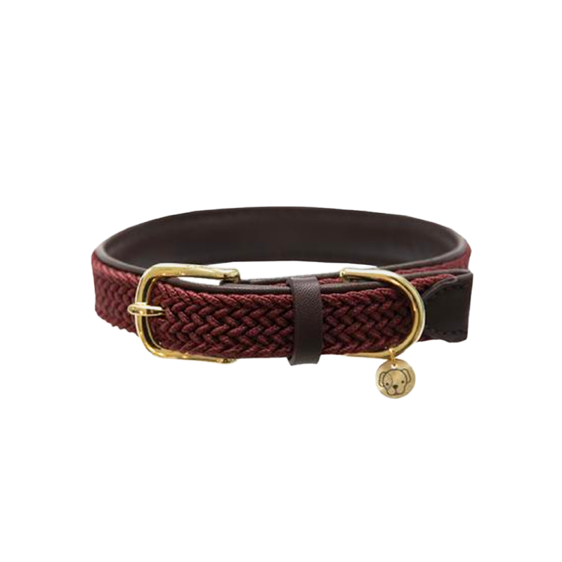 Kentucky Dogwear - Burgundy Dog Collars