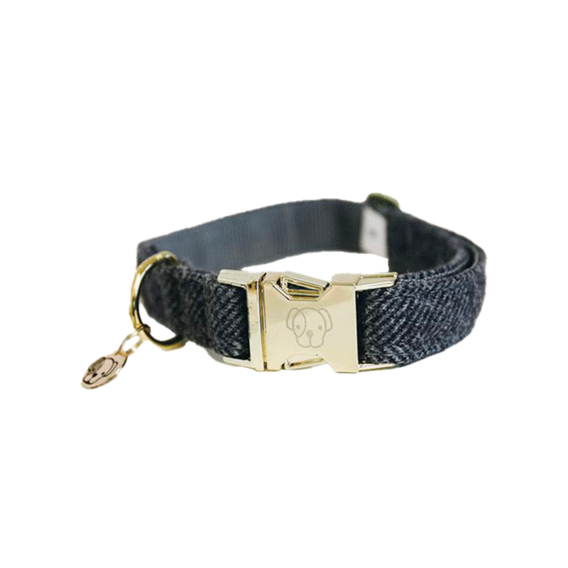 Kentucky Dogwear - Dog collar Wool gray