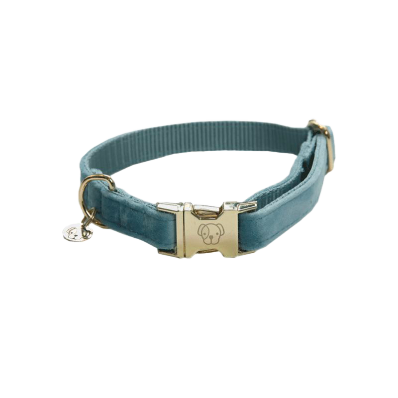 Kentucky Dogwear - Velvet Dog Collars Sky Blue