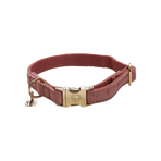 Kentucky Dogwear - Colliers pour chiens Velvet Rose | - Ohlala