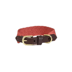 Kentucky Dogwear - Terracotta Jacquard Dog Collar | - Ohlala