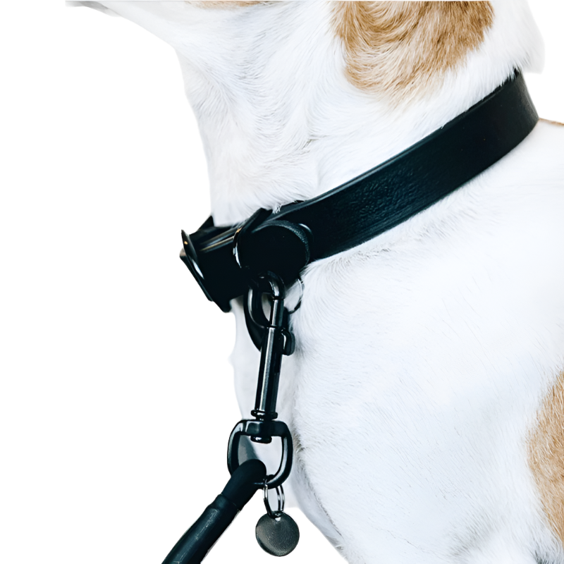 Kentucky Dogwear - Collier pour chien Soft Rubber noir