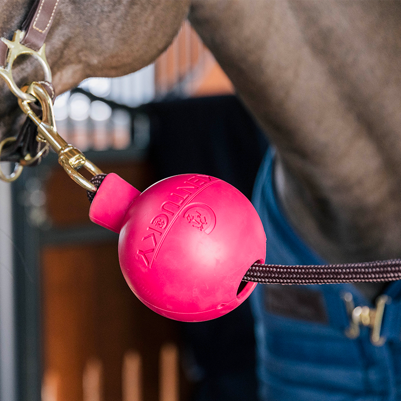 Kentucky Horsewear - Balle de protection d'attache rose | - Ohlala