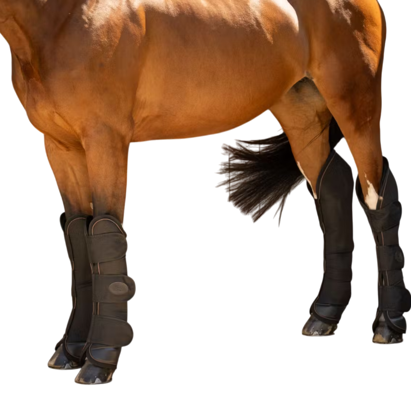 Kentucky Horsewear - トランスポートブーツ ブラック