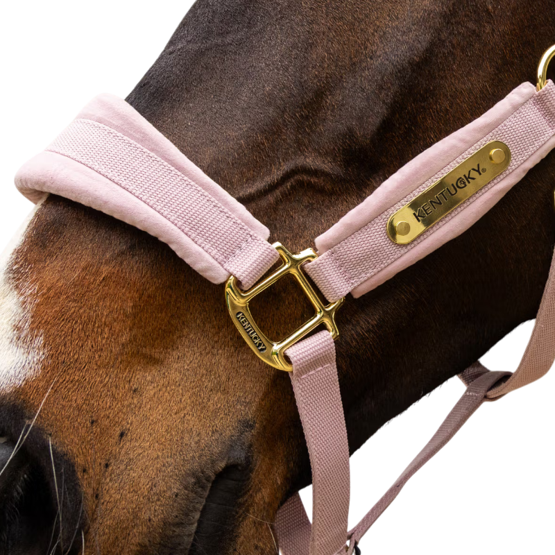 Kentucky Horsewear - Licol Velvet rose poudré